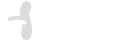 WELLNESS FESTA 2025